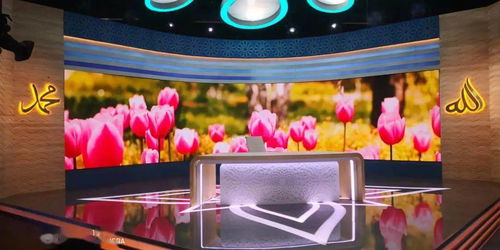 奧拓mini在土耳其電視臺(tái)影視節(jié)目制作中的廣泛應(yīng)用